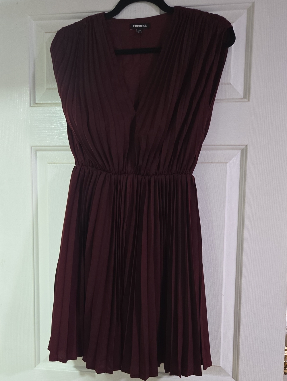 Express Women's Wine Pleated V-Neck Mini Dress